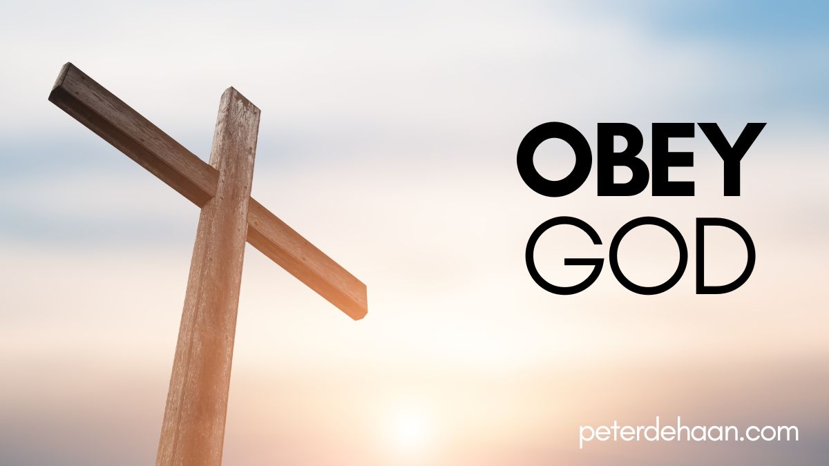 Obey God Regardless: Paul Speaks to the Elders in Ephesus (Bible Insights)